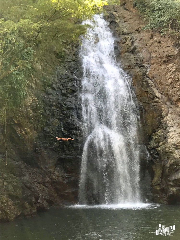 Klippenspringer am Wasserfall von Montezuma