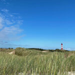 Dünen und Dünengräser, im Hintergrund der rot-weiße Leuchtturm von Amrum