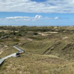 Blick auf endlose Dünenlandschaften, bewachsen mit Gräsern. Am Horizont ist das Meer erkennbar.