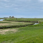 Grüne Wissen und eine Art Flusslauf; am Horizont die Kirchwarft