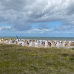 Dünengras im Vordergrund, im mittleren Bildbereich Strandkörbe und im Hintergrund die Ostsee vor Heiligenhafen