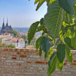Blick auf die Altstadt von Brünn im Vordergrund eine Mauer und Blätter eines Walnussbaums