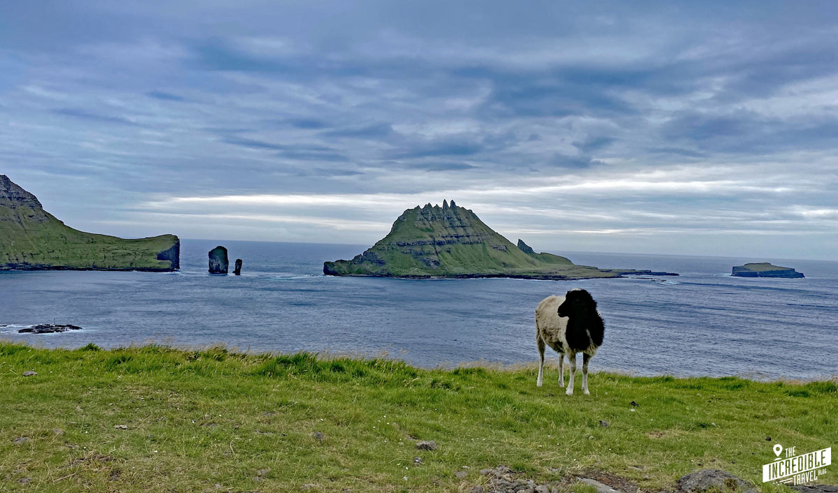 Färöer – Was man zu Anreise und Aufenthalt wissen muss