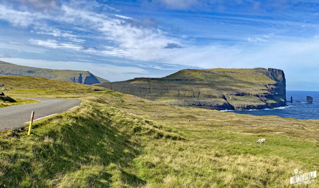 Landschaft mit Steilküste und Meer am rechten Bildrand, viel Grün und einem Schaf