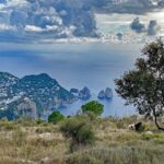 Gras und vereinzelte Schafe im Vordergrund, weiter hinten der Ort Capri und am Horizont Wolken und die Amalfiküste