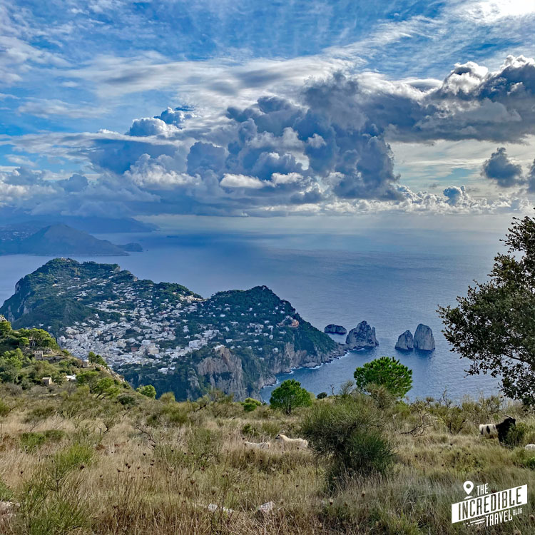 Gras und vereinzelte Schafe im Vordergrund, weiter hinten der Ort Capri und am Horizont Wolken und die Amalfiküste