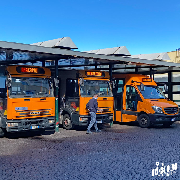 Orange Busse des Nahverkehrs