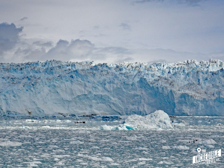 Blick auf den Eqi-Gletscher