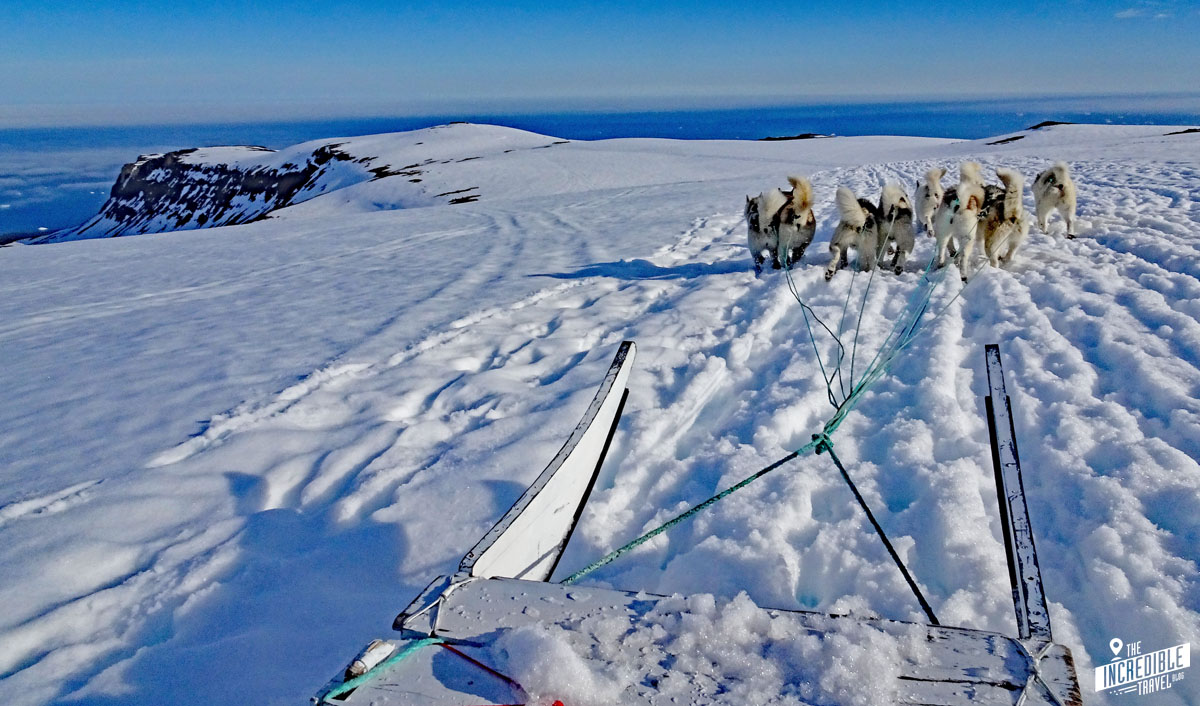 Grönland – Hundeschlittenfahrt im Sommer