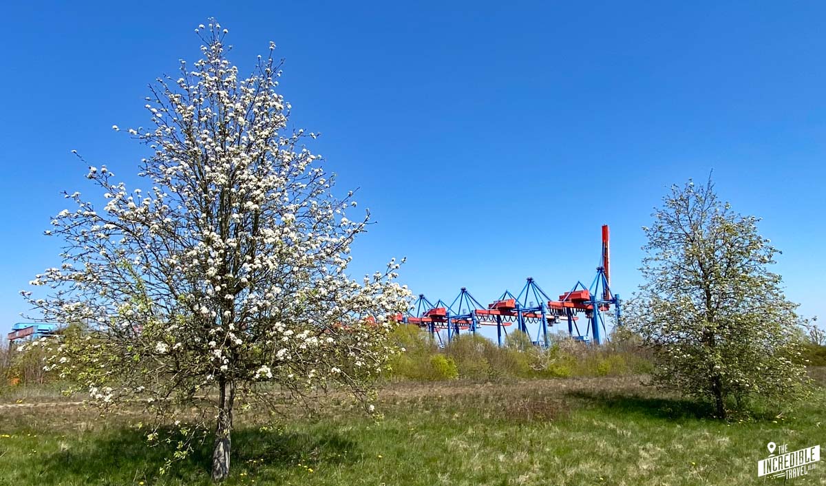 Altenwerder – zu Besuch im verschwundenen Dorf