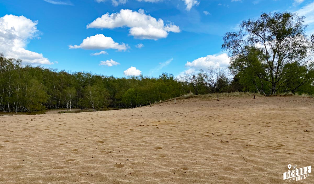 Ein Ausflug in den größten Sandkasten Hamburgs