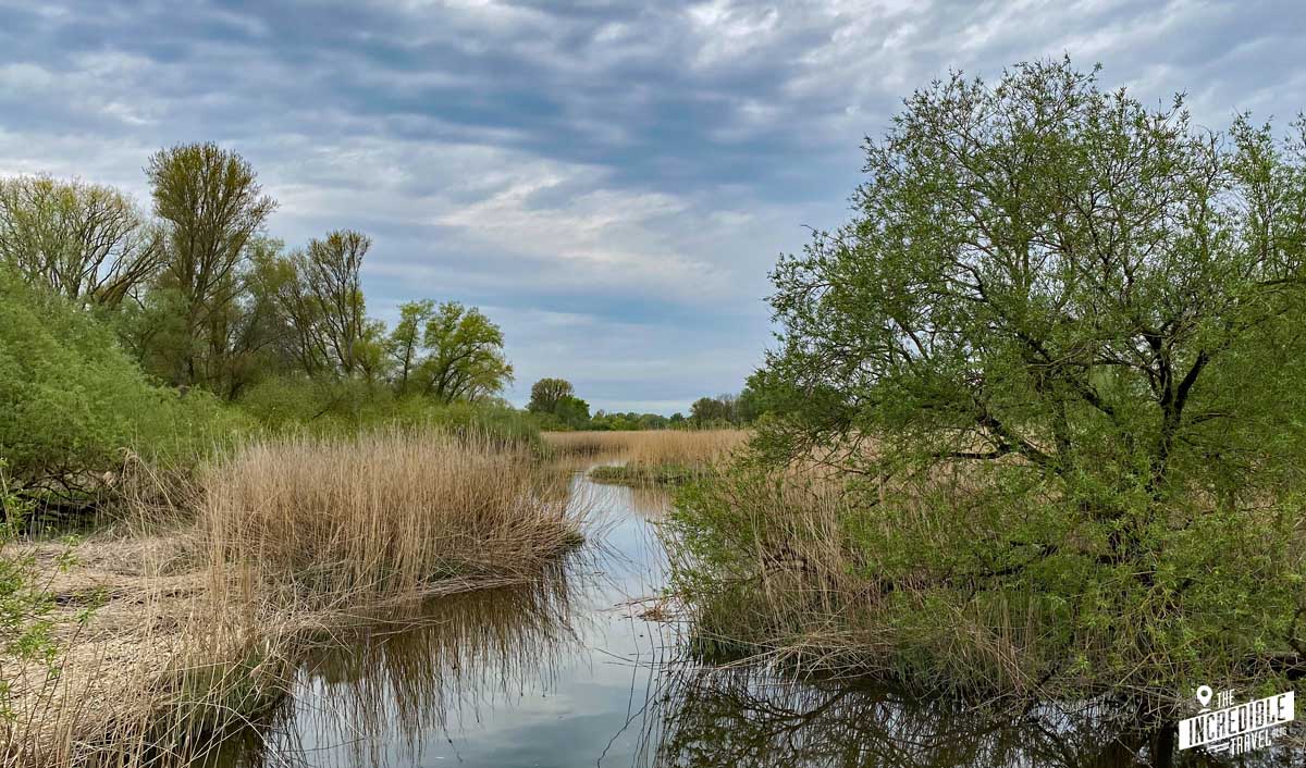 Wo die Elbe sich teilt – an der Bunthäuser Spitze