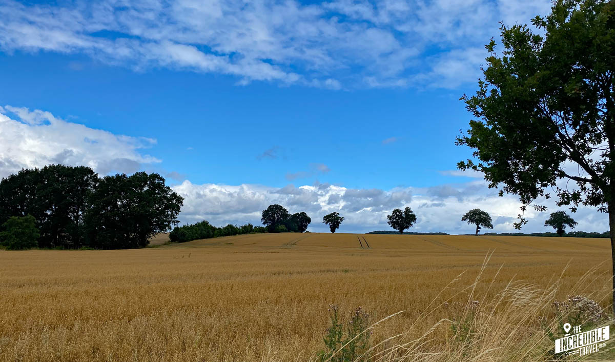 Ich war dann mal weg – Wandern in der Holsteinischen Schweiz