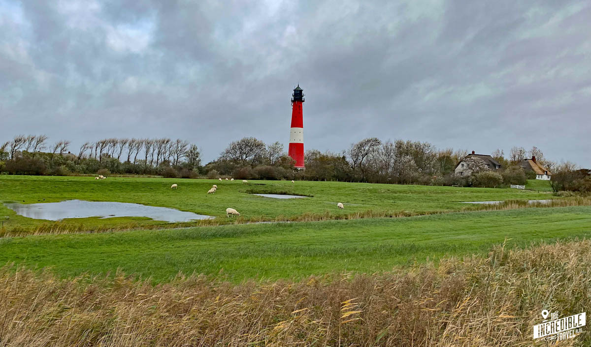 Pellworm – nicht mehr als Detox und Langeweile?