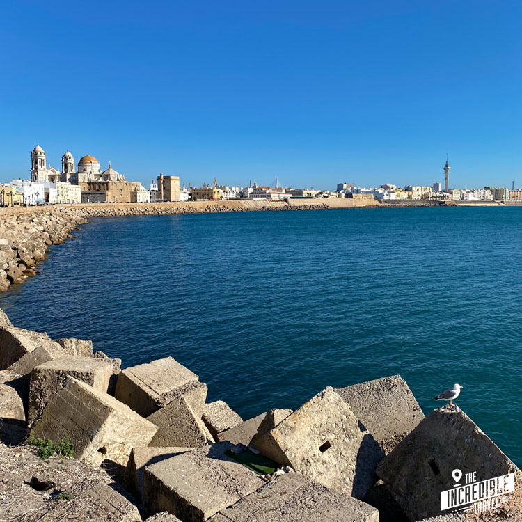 Die Skyline von Cádiz mit der Kathedrale