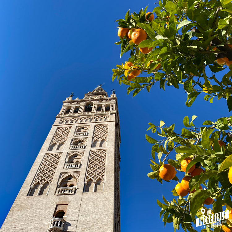Blick am Turm hinauf, von rechts ragt ein Orangenbaum ins Bild