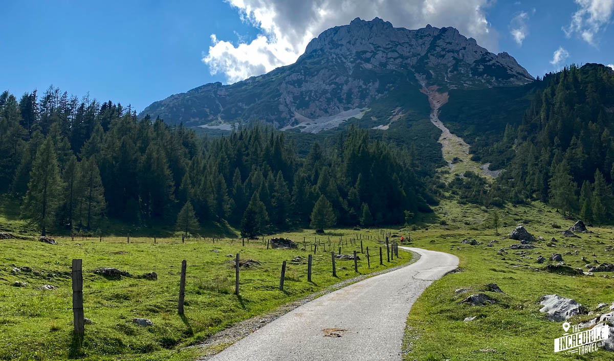 Wo man Murmeltiere füttern kann