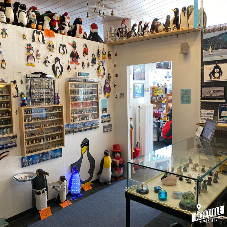 Blick auf Ausstellungskästen mit Pinguinfiguren