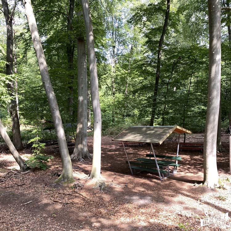 Picknickplatz am Wendepunkt der Draisine im Wald