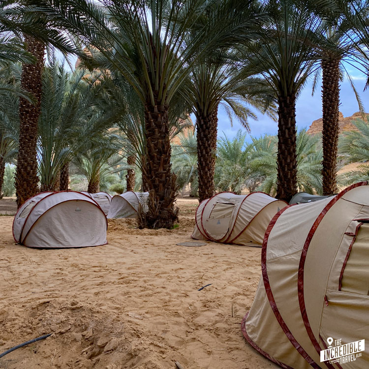 Zelte unter Palmen