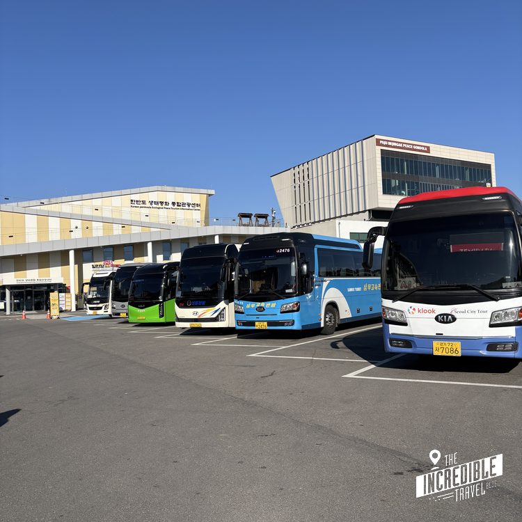 Mehrere bunte Reisebusse parken auf einem Parkplatz vor modernen Gebäuden unter blauem Himmel.