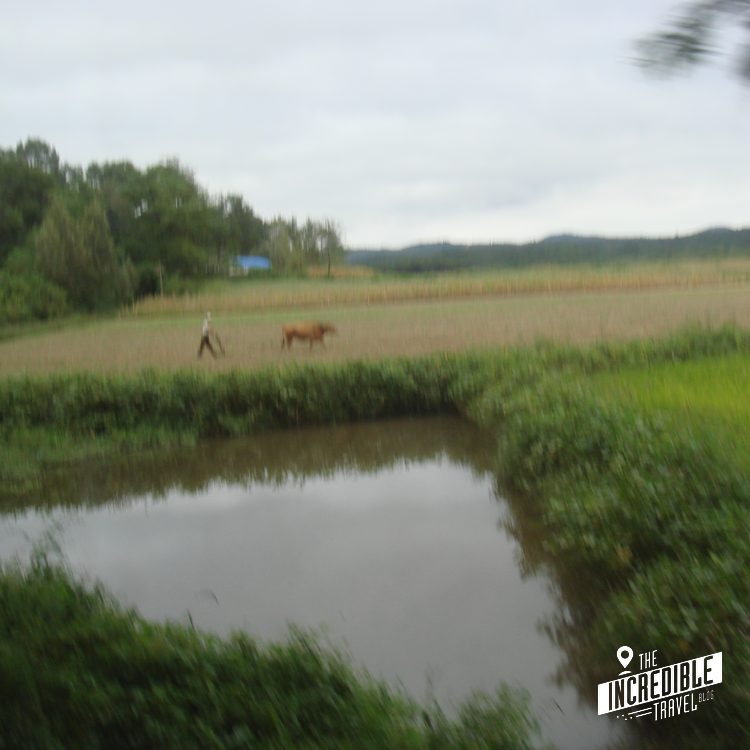 Mensch mit Pferd auf grüner Wiese neben Kanal, bewaldete Hügel im Hintergrund, ländliche Landschaft