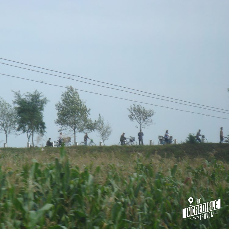 Gruppe von Menschen auf einem Feldweg zwischen Maisfeldern und Bäumen unter blauem Himmel
